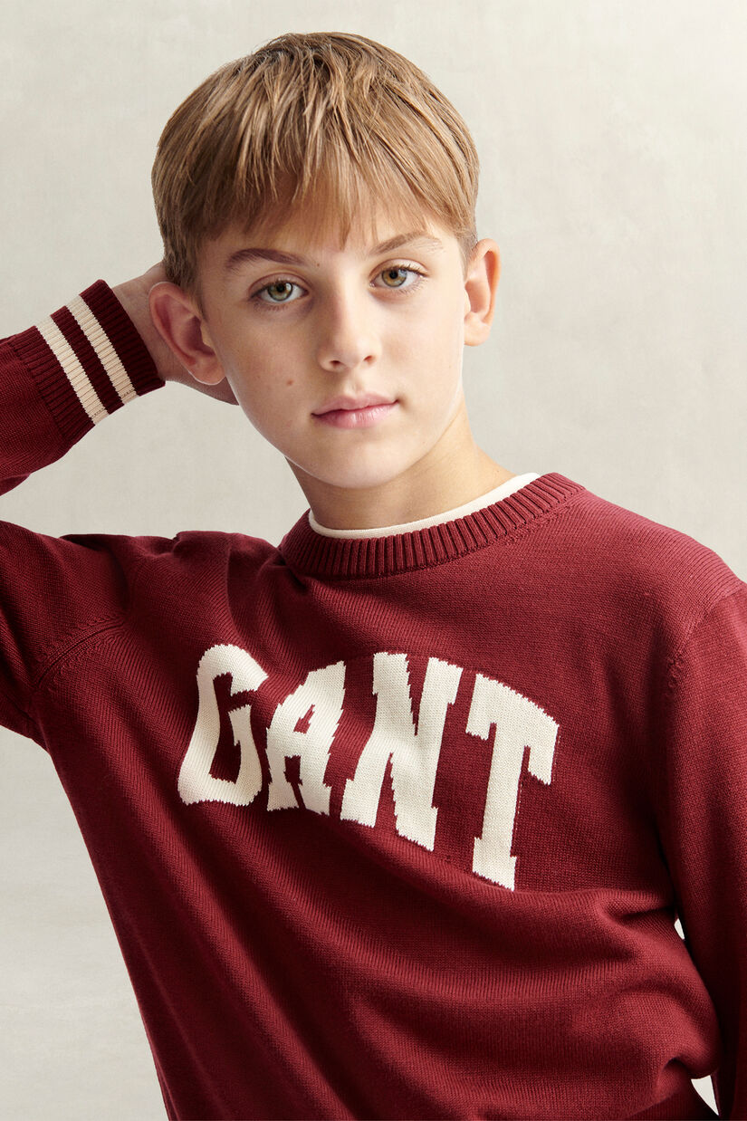 Pull en intarsia Ado Gar&ccedil;on